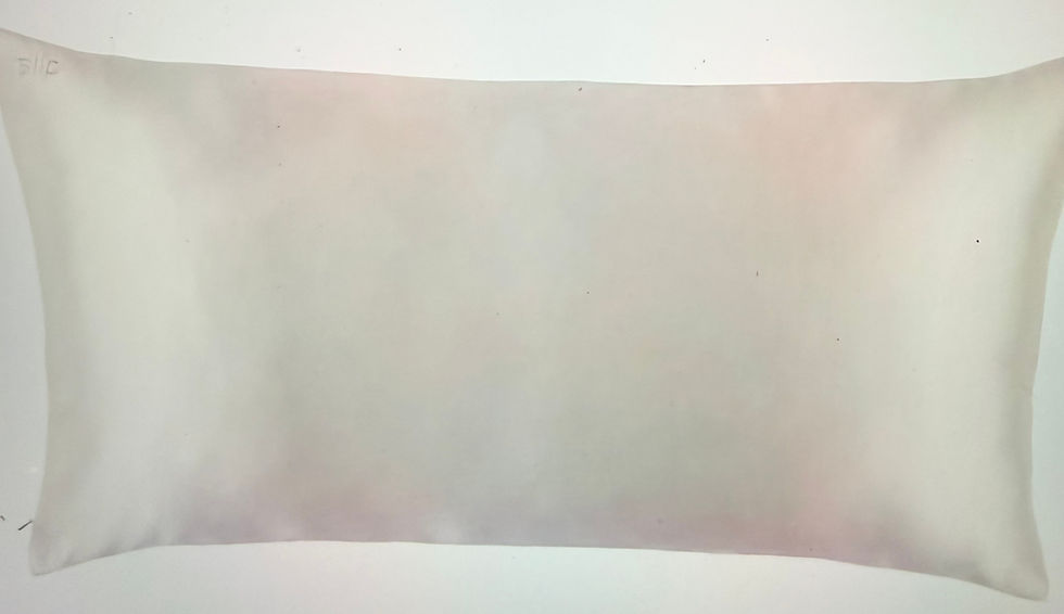 slip King Pure Silk Pillow Case - 100% Pure 22 Momme Mulberry Silk - King Size Standard Pillow Case -Anti-BedHead, Anti-Sleep Crease, White (20" x 36")
