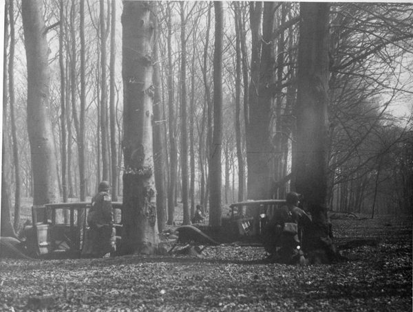 253994 Varsity, Wesel