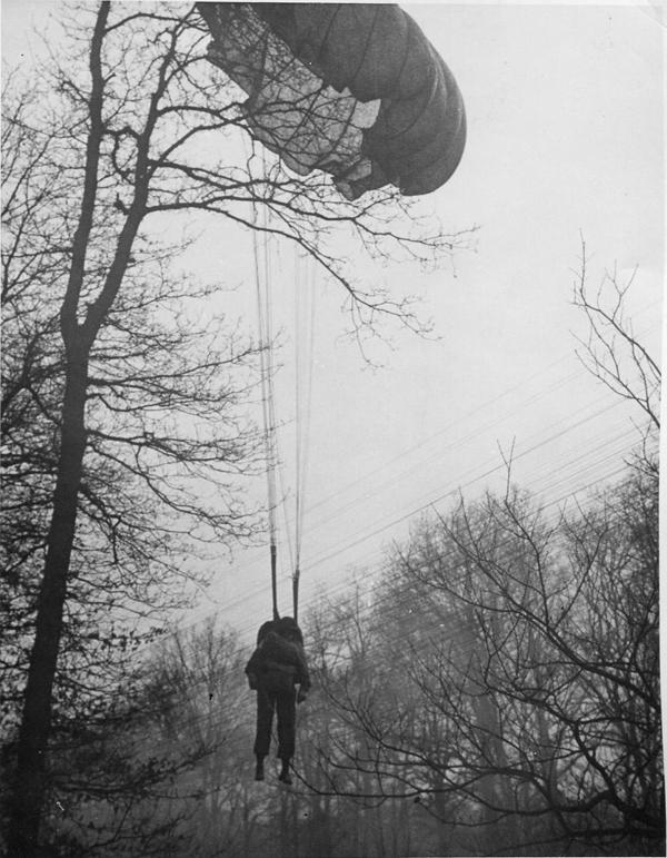 202654 507th, Varsity, in-tree