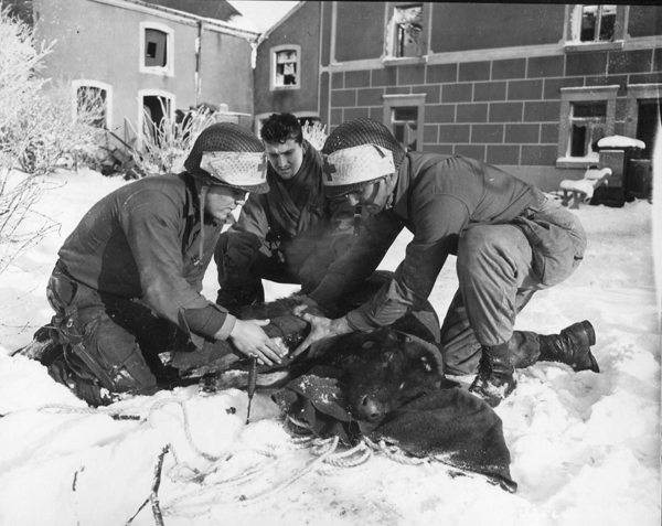325646 Bulge 194th, Medic, calf