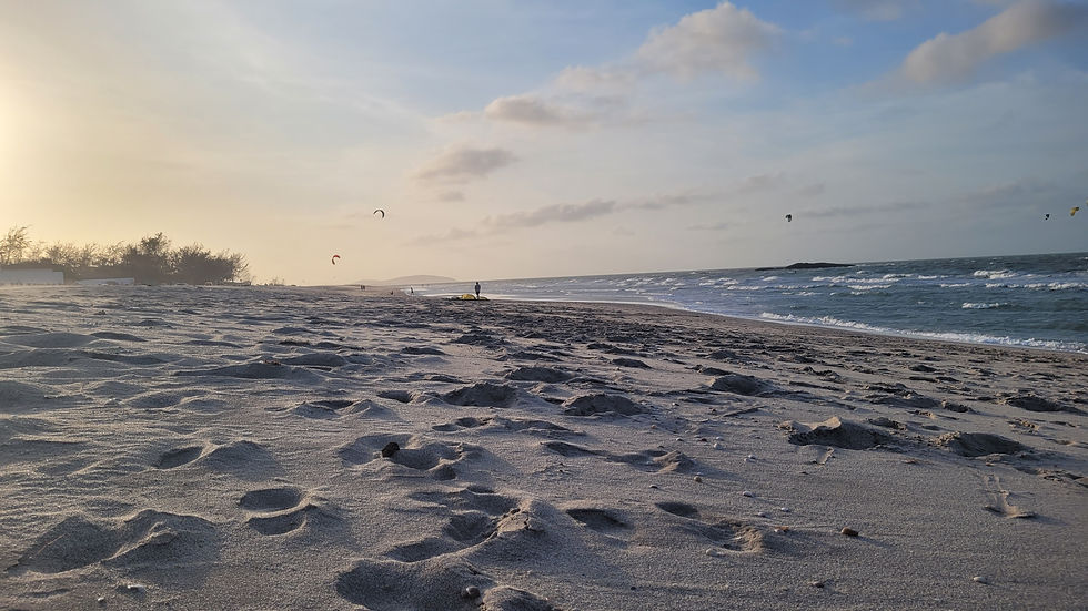 20241024_164901.jpg