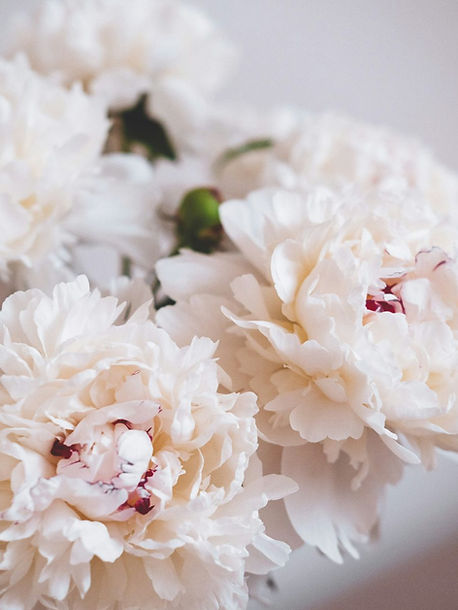 Decoration-fleurs-séchées-naturelles.jpg