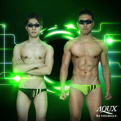AQUX model: SHU & Chick