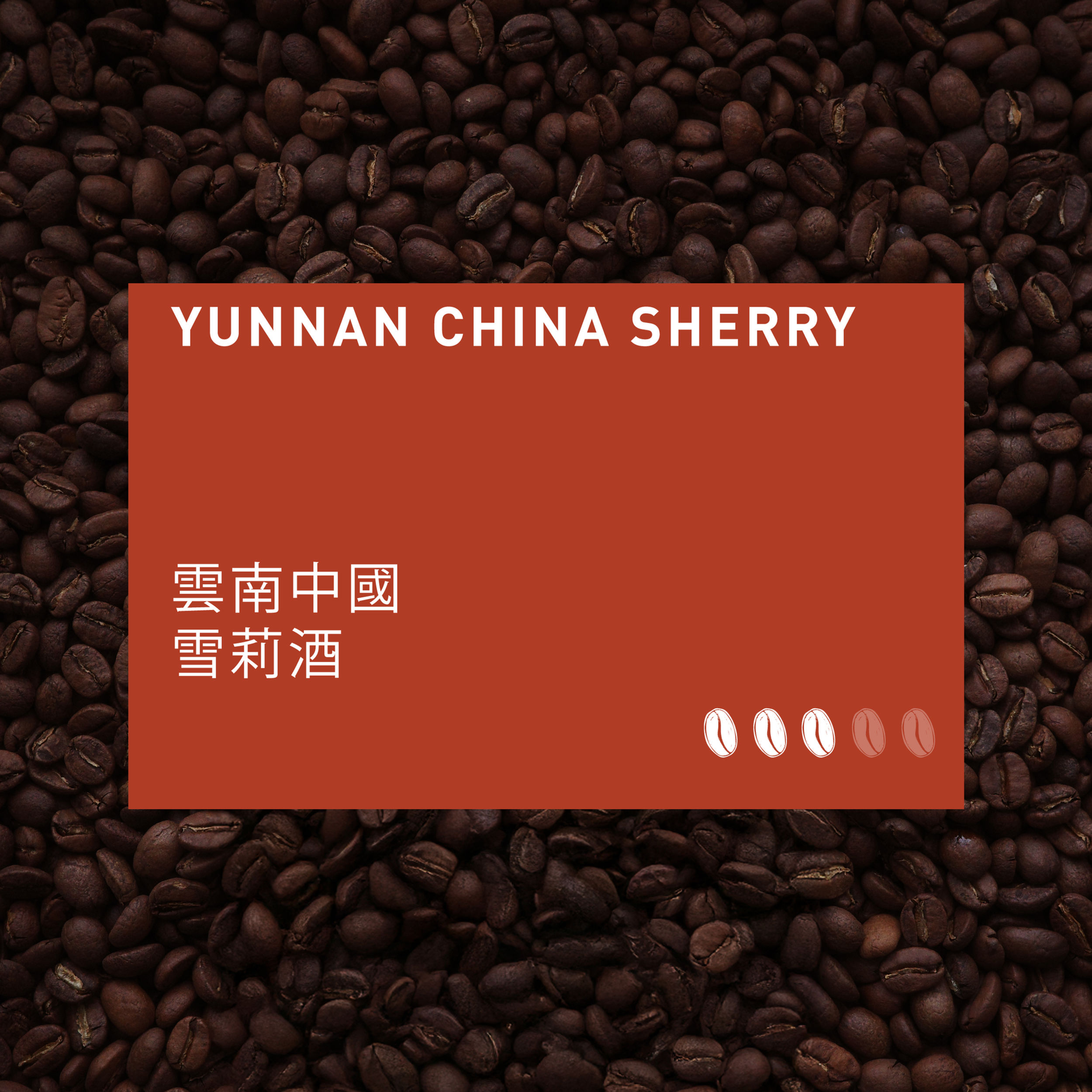 FERMENTATION - Yunnan China Sherry