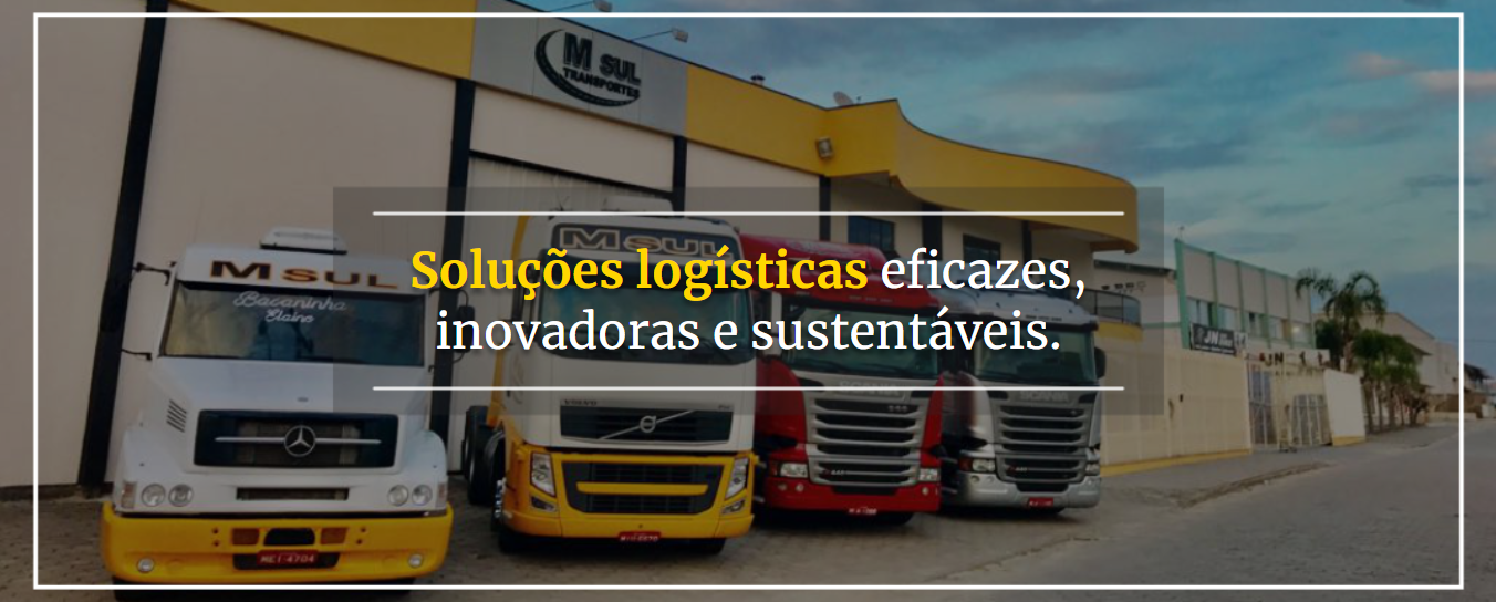 M Sul Transportes Ltda
