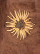 Wood veneer
210 x 297
Katy Cottrell 2025
$300
