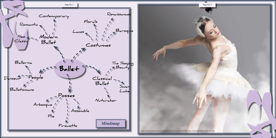 The Swan Lake Doc6.jpg