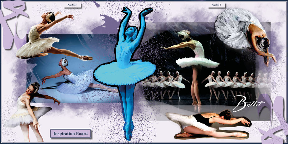 The Swan Lake Doc7.jpg