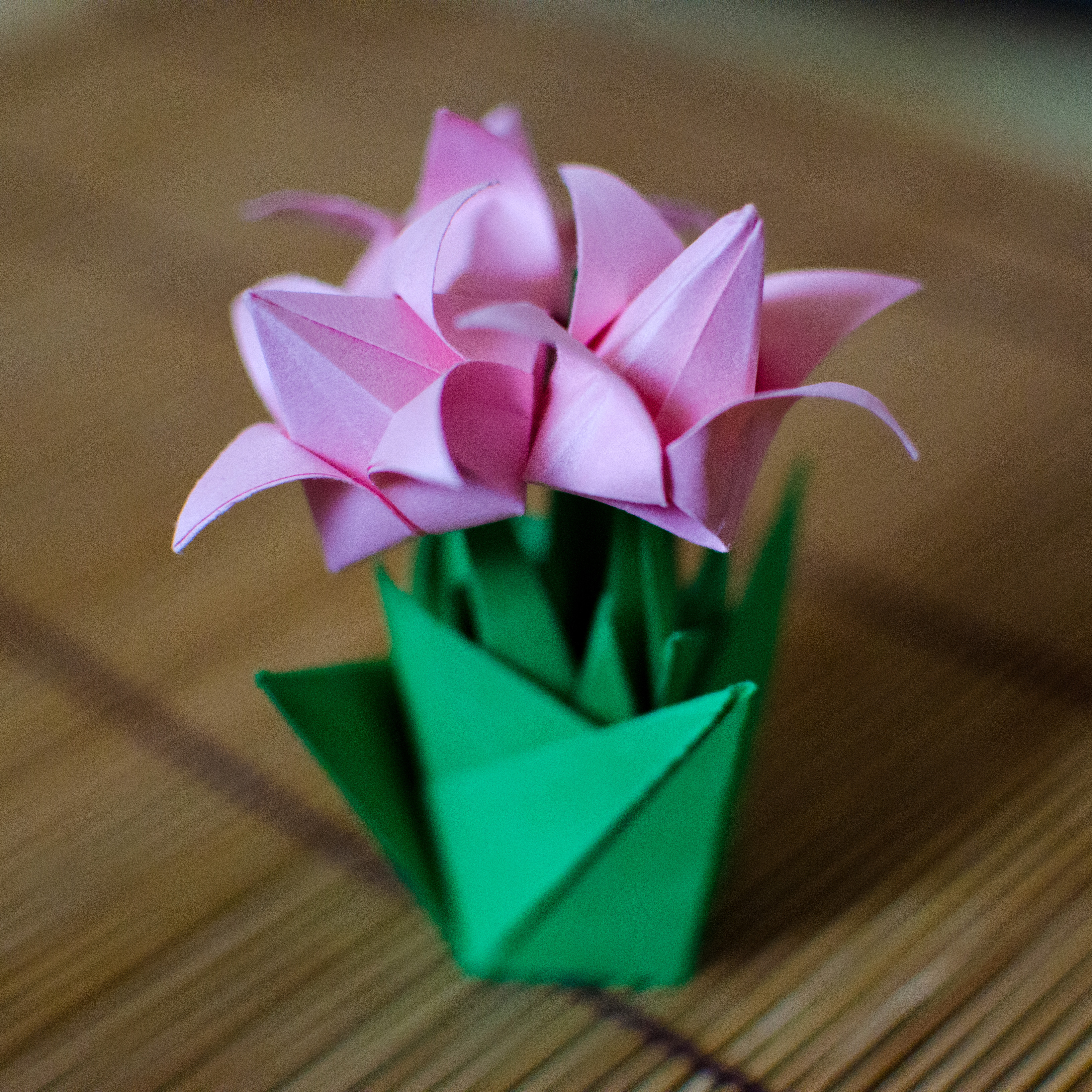 Maceta de tulipanes