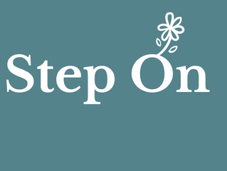 Step On - job seekers programme