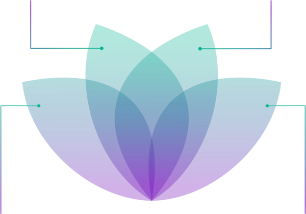 Portfolio petals_edited.png