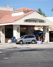 Aventura Small.jpg