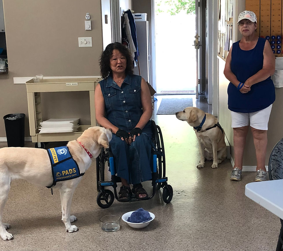 Anya and Cindy describe all the things their dogs do for them. The towel in the bowl is for Desi to wipe her mouth after drinking.