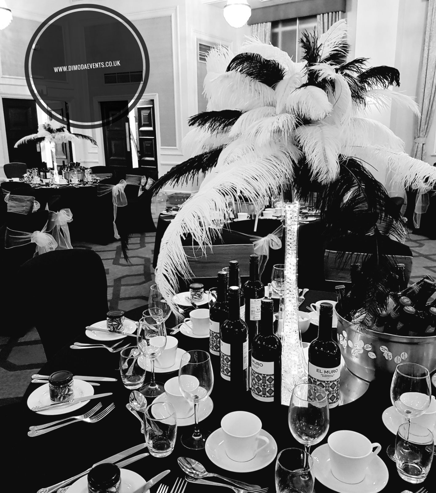 Black and white feather