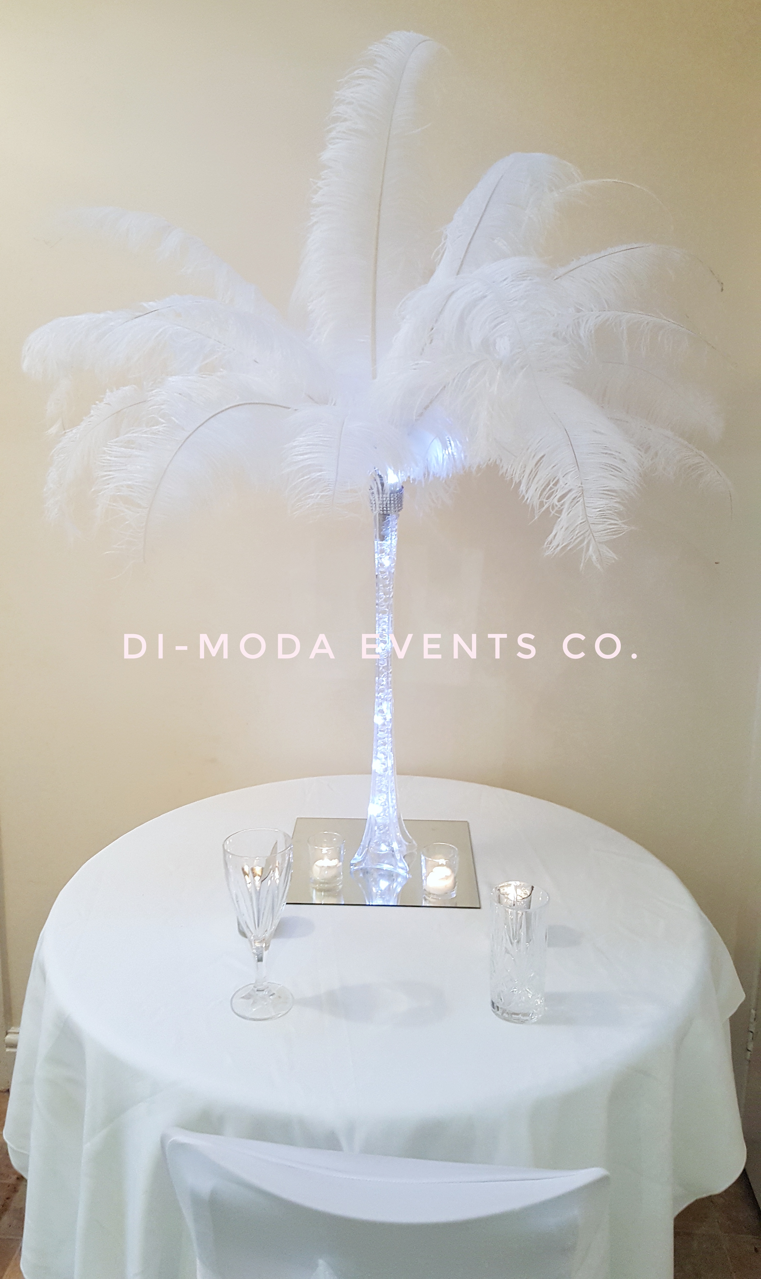Premium Di-Moda Feather