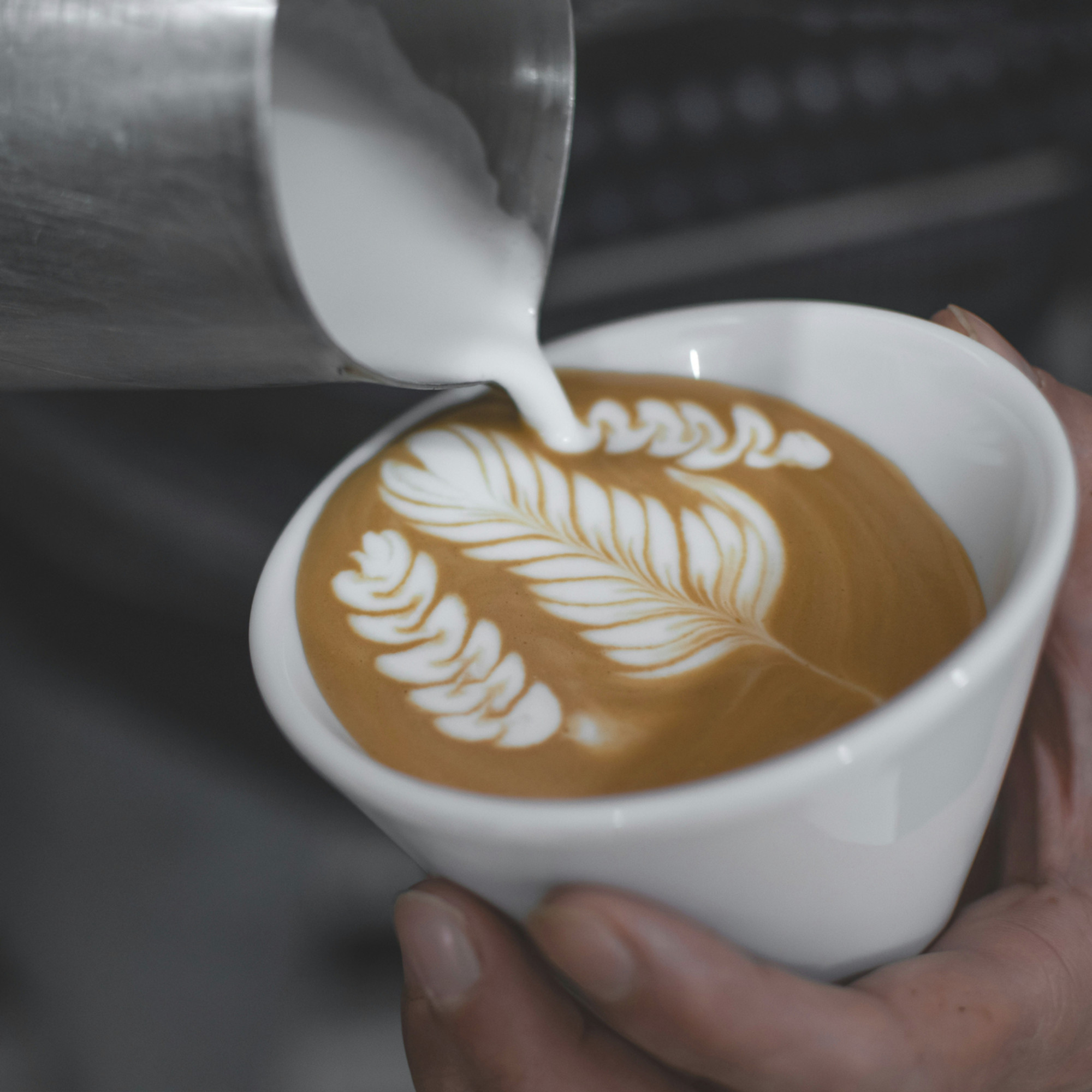 A barista expertly pours steamed milk to create intricate latte art in a steaming cup of coffee. Photo by Armin Lotfi.