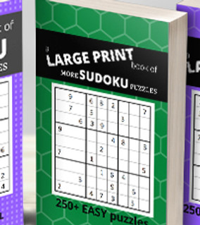 sudoku wix page with title.jpg