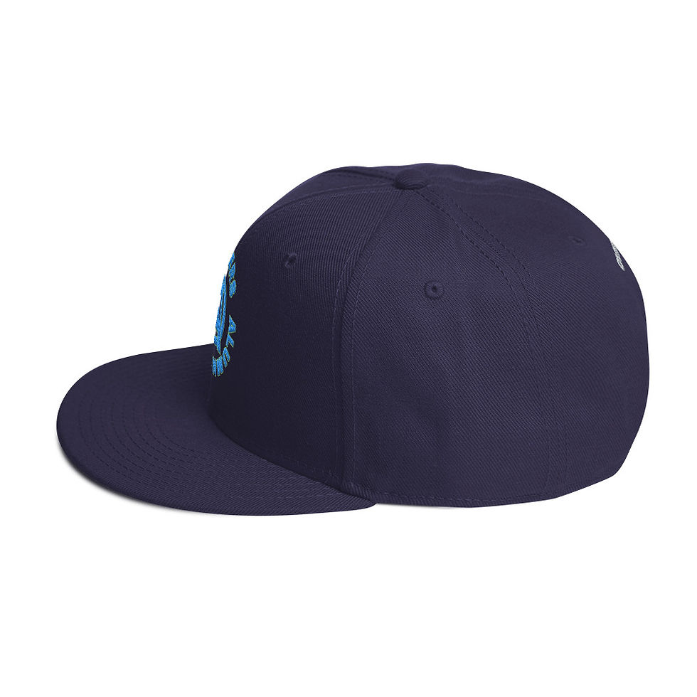 Thumbnail: Signature Navy & Baby Blue Snapback 