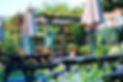 Garden.jpg