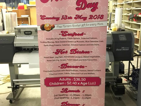 Budget Rollup Banner or Prestige Rollup banner