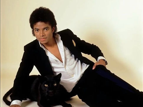 The Style Evolution of Michael Jackson