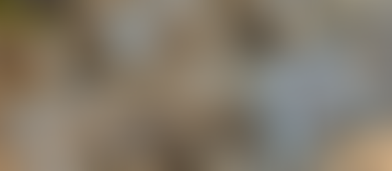 The Indispensable Role of Glass Dropper Bottles in Your Routine