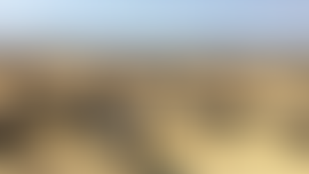 Conservation + Luxury: The 'New' Safari