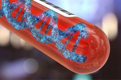 From AI to Biotechnology: Why Research Standards Matter