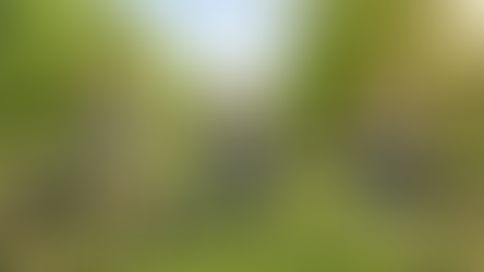 Spring Break With Mustar: Portable Instruments For Beach Days & Road Trips