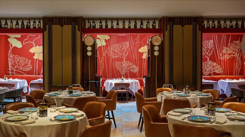 We Came Visited Bocconcino Mayfair For Dinner and Stayed For The Italian Education