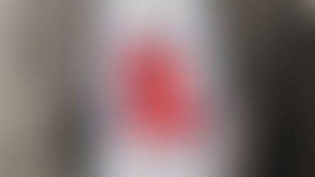 Aimé Leon Dore Spring/Summer 2026 is literally a work of art