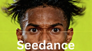 Seedance Bingo Review 2026: Best Seedance 2.5 Platform?