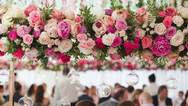 Is Jamali Garden’s Wholesale Decor in Bulk Worth It for Creative Productions & Events?