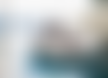 What Creative Custom Pool Float Shapes Are Trending in 2026?