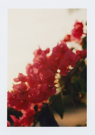 Suzie Howell_01.jpeg