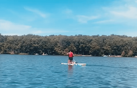 ezgif-4-99cd76d435fa