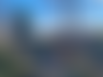 Zipping Around the Zoo