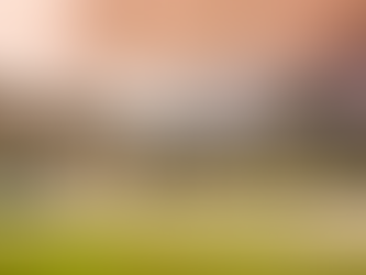 A Beautiful Autumn Wedding at Irnham Hall, Grantham.