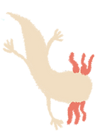 Layer 34.png
