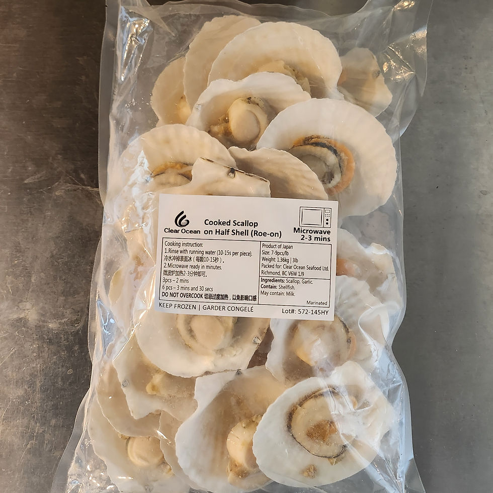 Scallop Shell 3L image