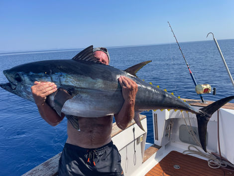 another amazing 80 kilo Tuna