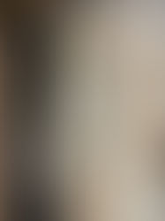 Wolfsbarsch in Salzkruste