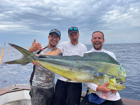 giant MahiMahi bull caught infront of Mallorca 
