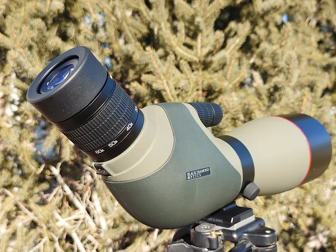 blackdiamondoptics.webp