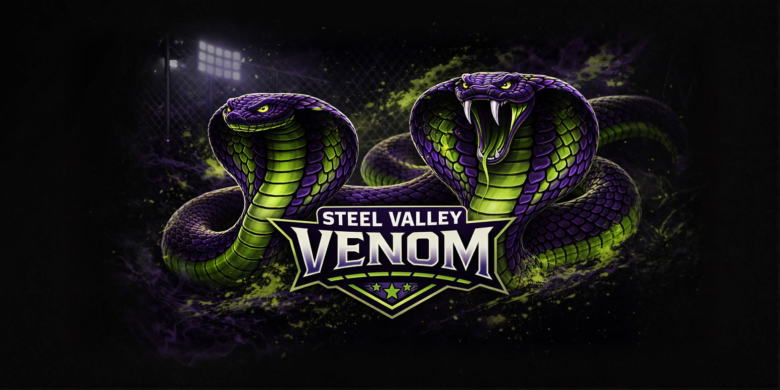 Double Snake Facebook Header_edited_edited.jpg