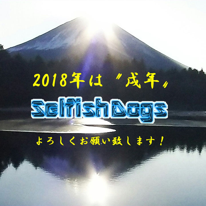 2018年は Selfish Dogs の年!