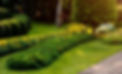 luxury-landscape-design-tropical-garden-
