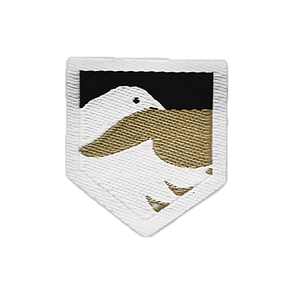 Patch Transparent.png
