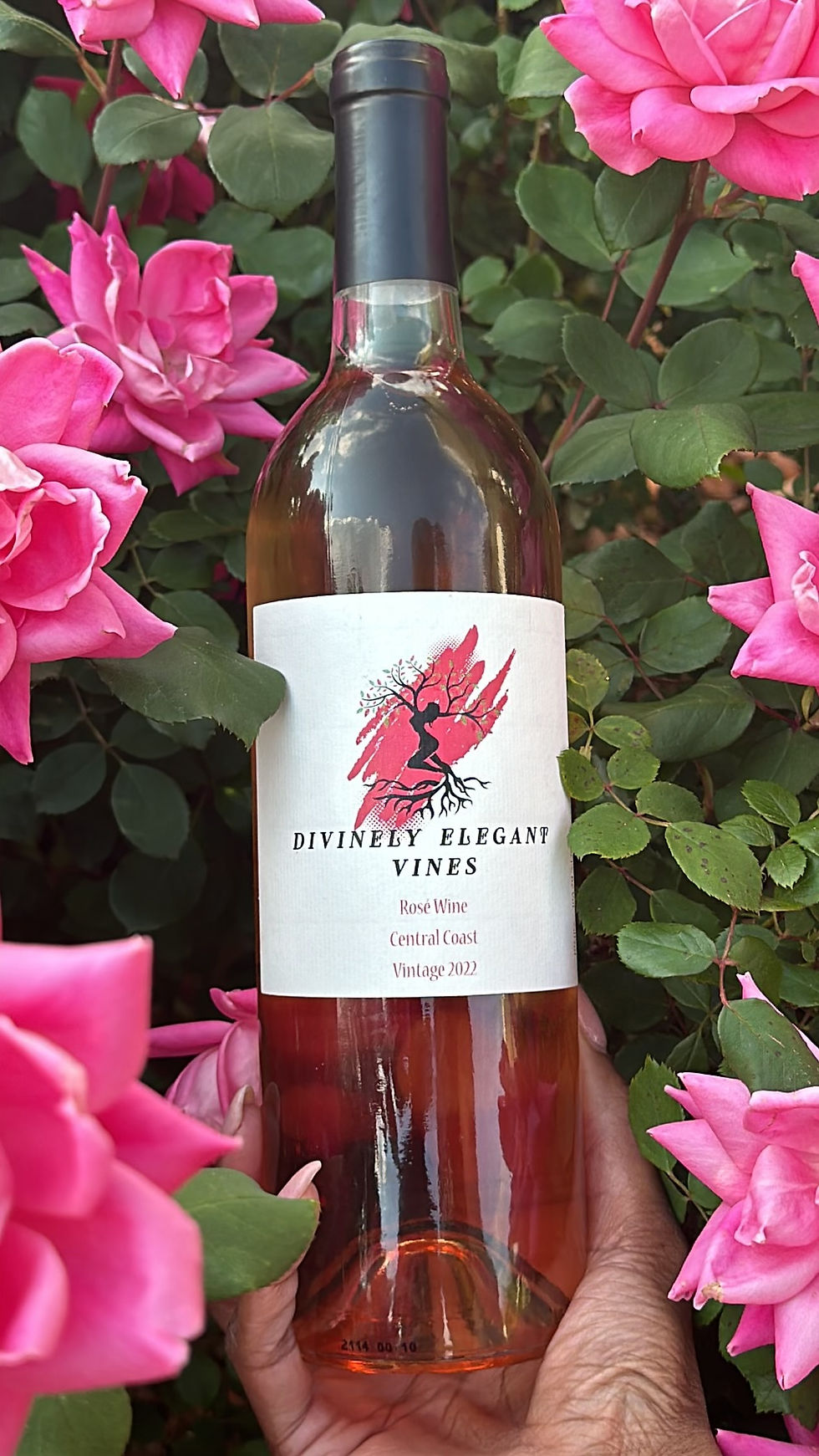 Divinely Elegant Vines LLC | vintage wine