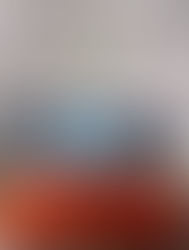 Locks End project shortlisted for award